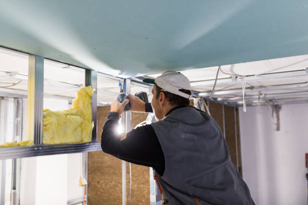 Best Commercial Insulation in Tangerine, FL